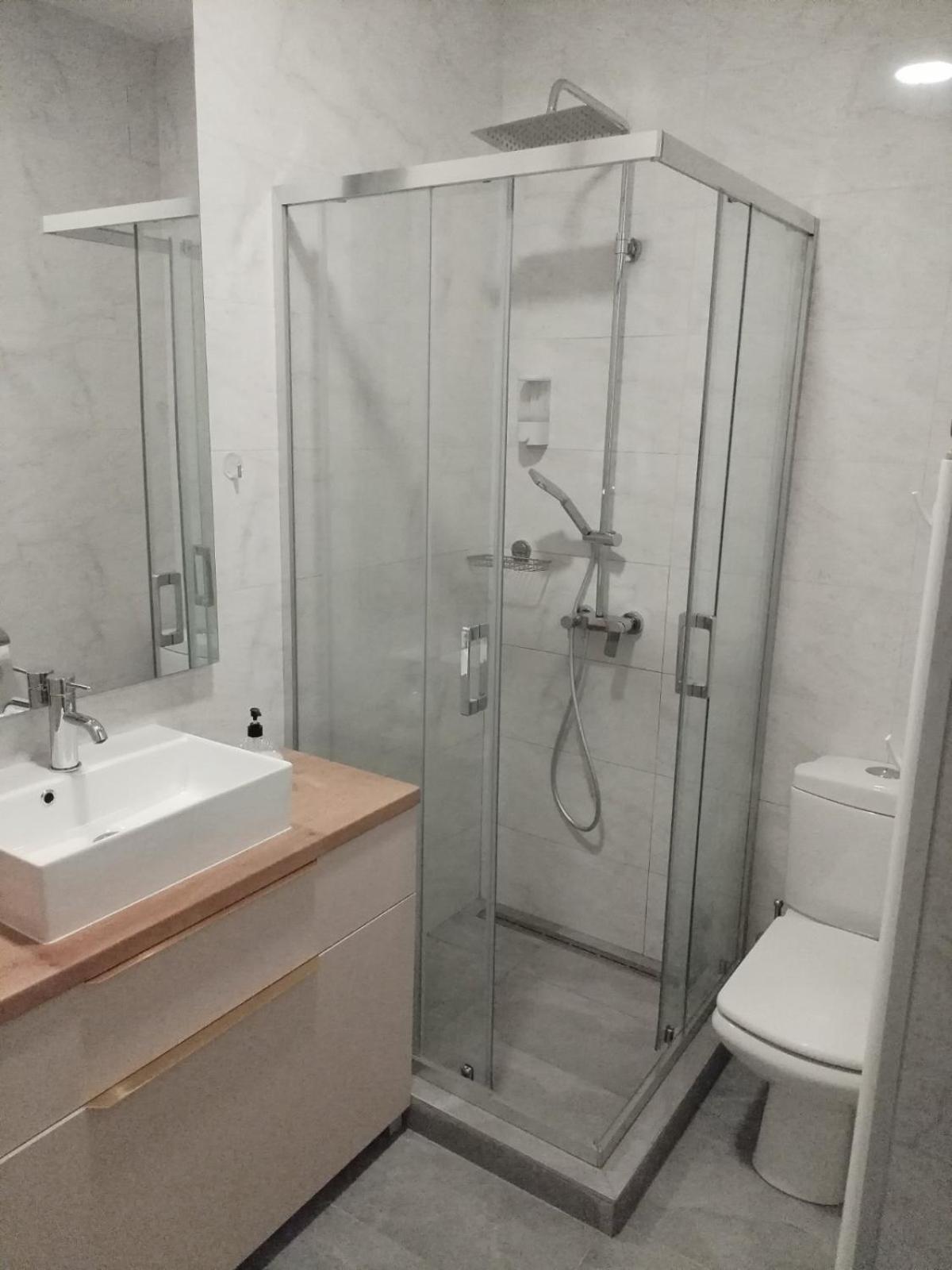 Apartment Centrum - Free Private Parking โนวีซาด ภายนอก รูปภาพ