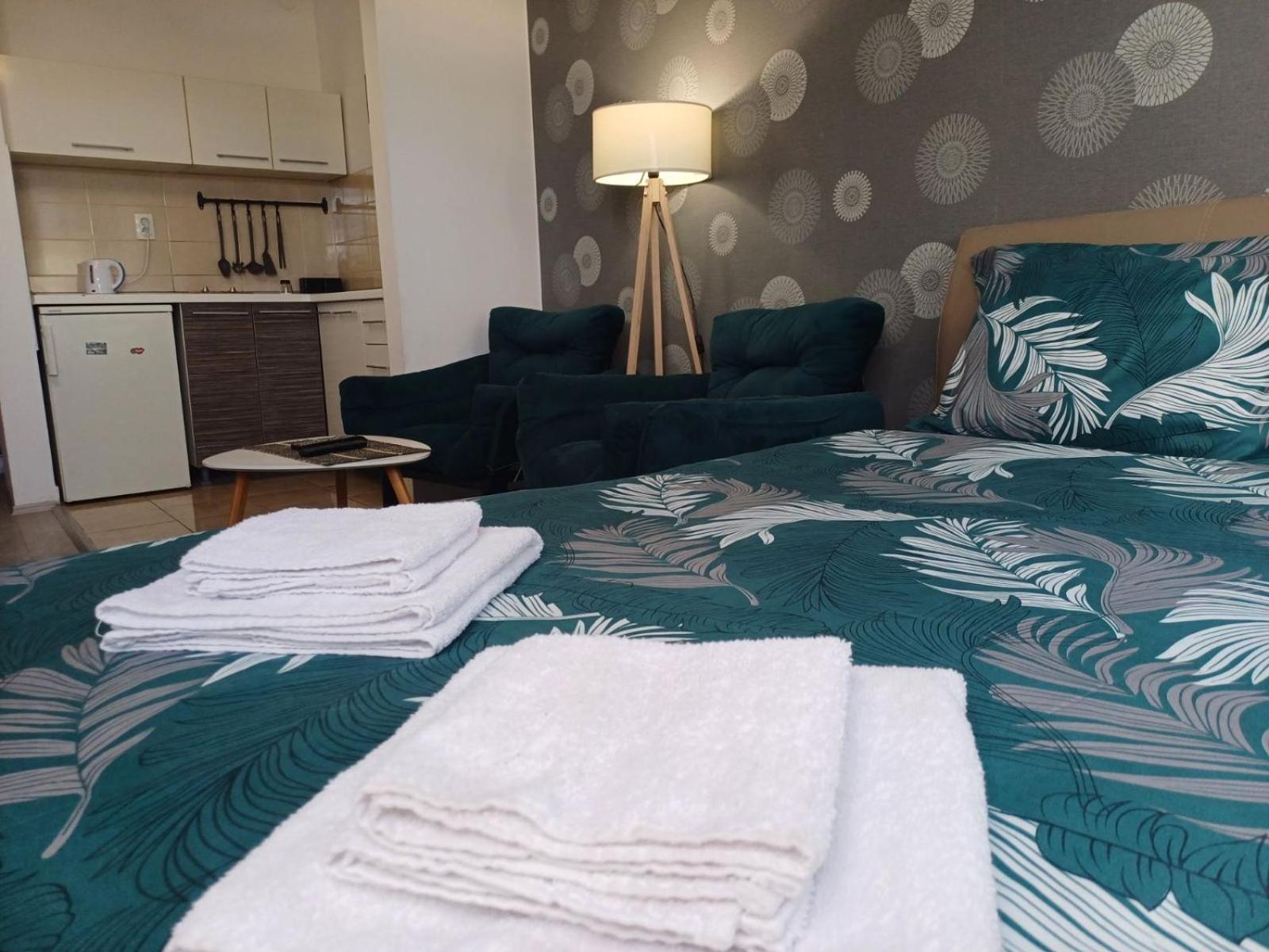 Apartment Centrum - Free Private Parking โนวีซาด ภายนอก รูปภาพ