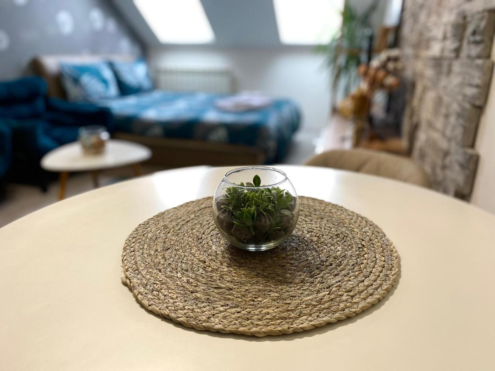 Apartment Centrum - Free Private Parking โนวีซาด ภายนอก รูปภาพ